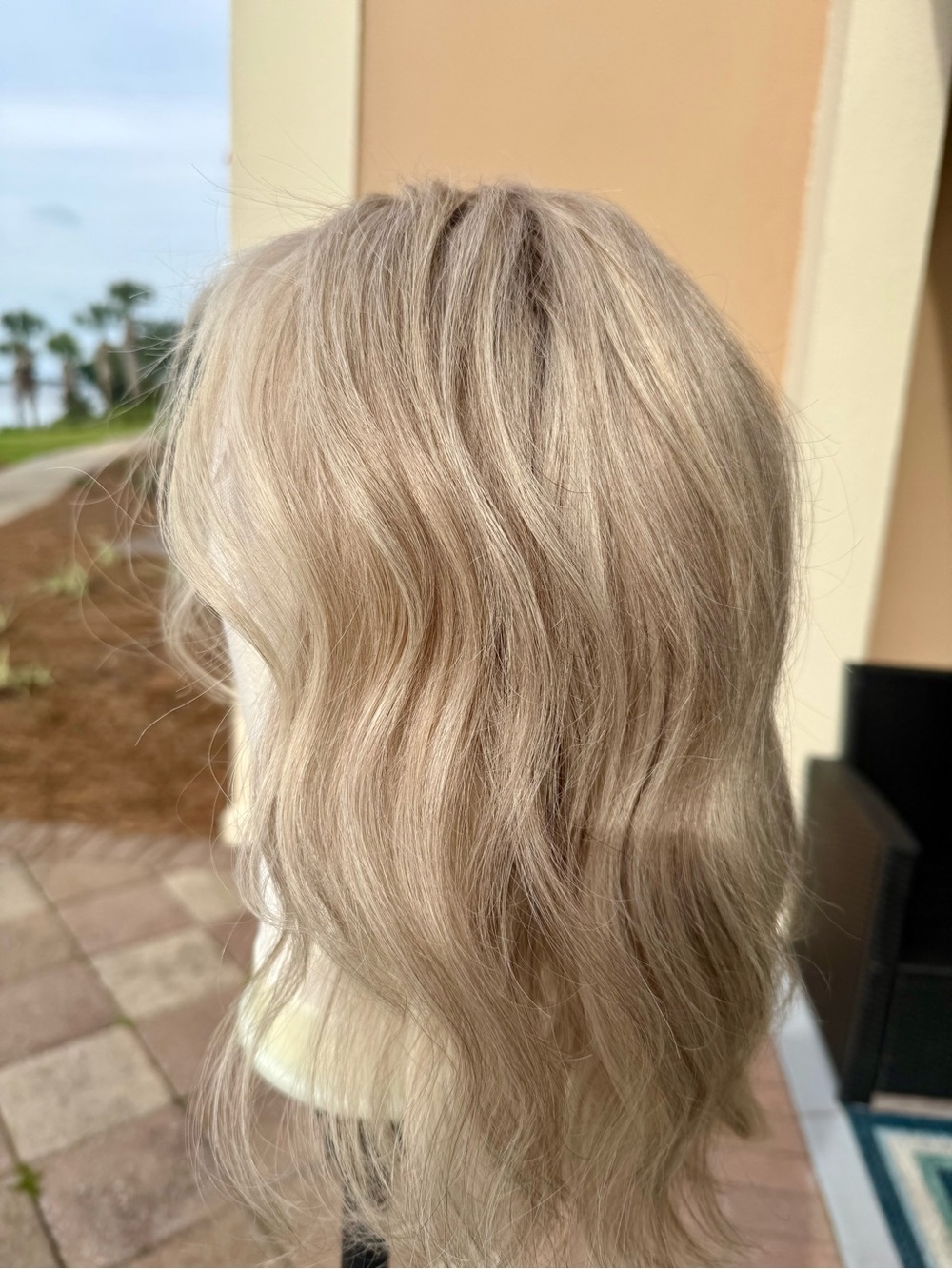 Silver Blonde Human Hair Lace-Front Wig for Women - Picture 15 of 16